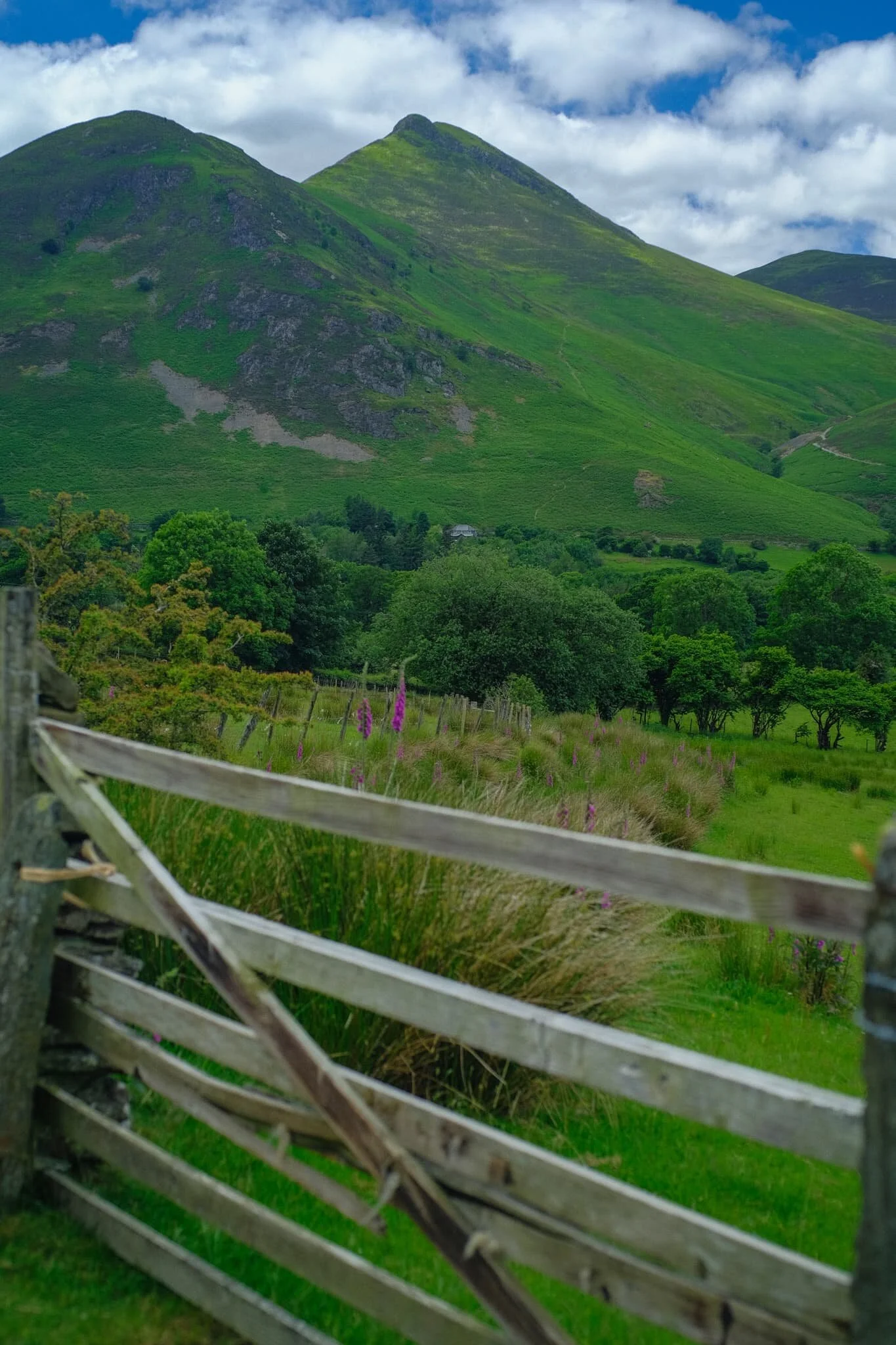 One of Keswick’s more familiar sights is the knobbly profile of Causey Pike (637 m/2,090 ft).