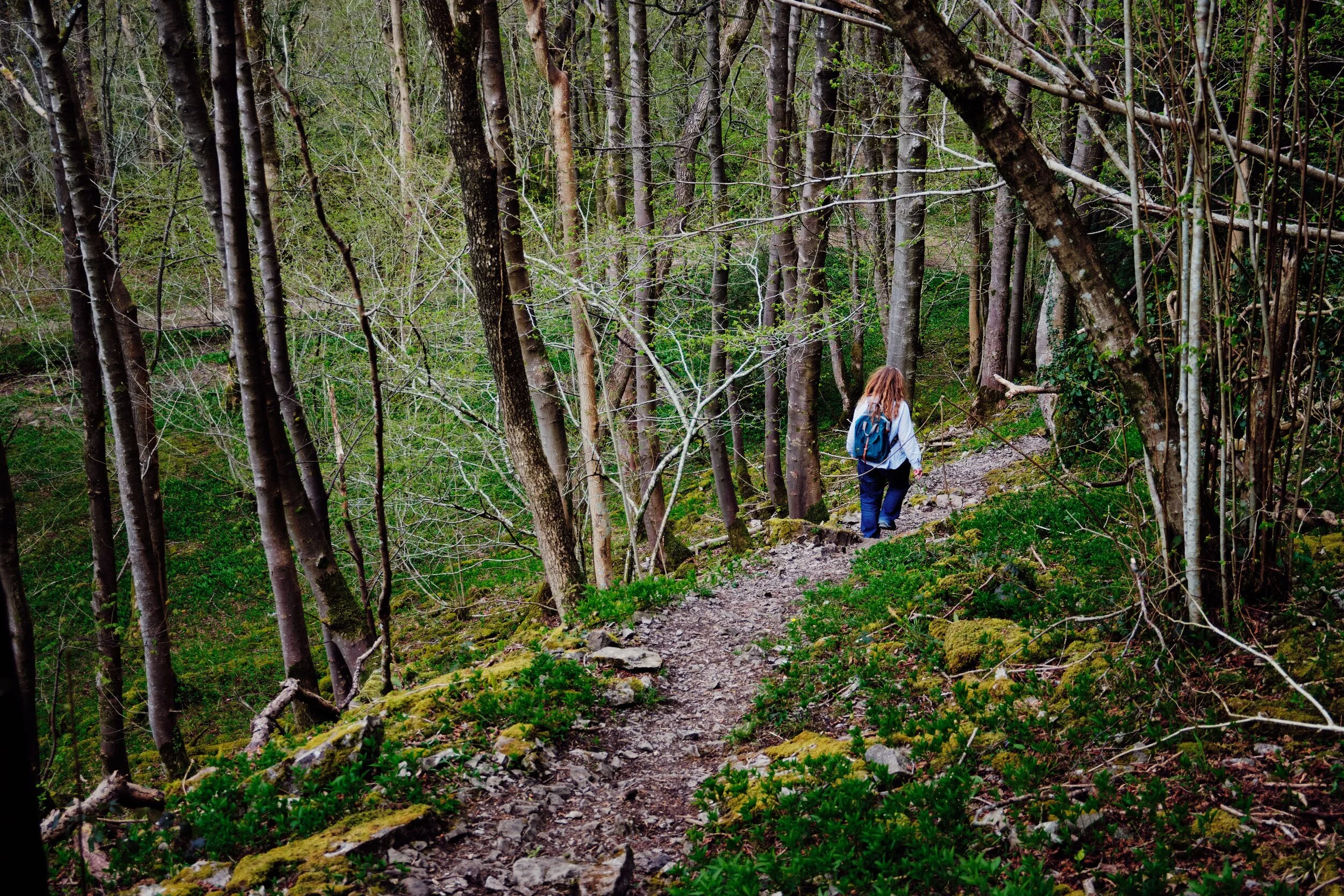 Down we go into Scar Wood below Cunswick Fell.