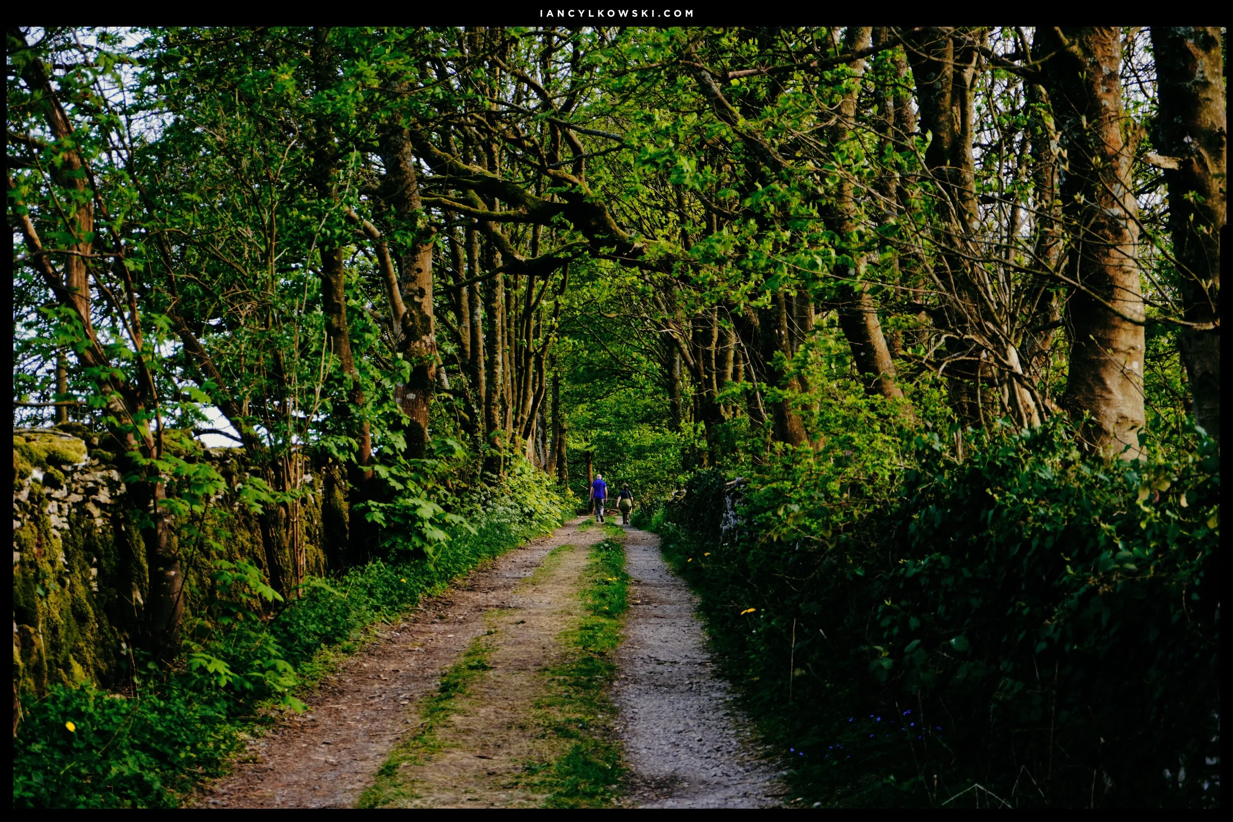 The way back home.