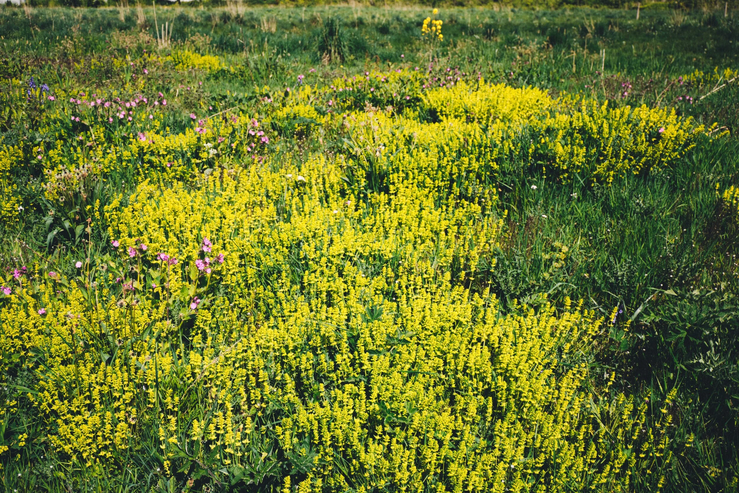 Dscf1163_Export