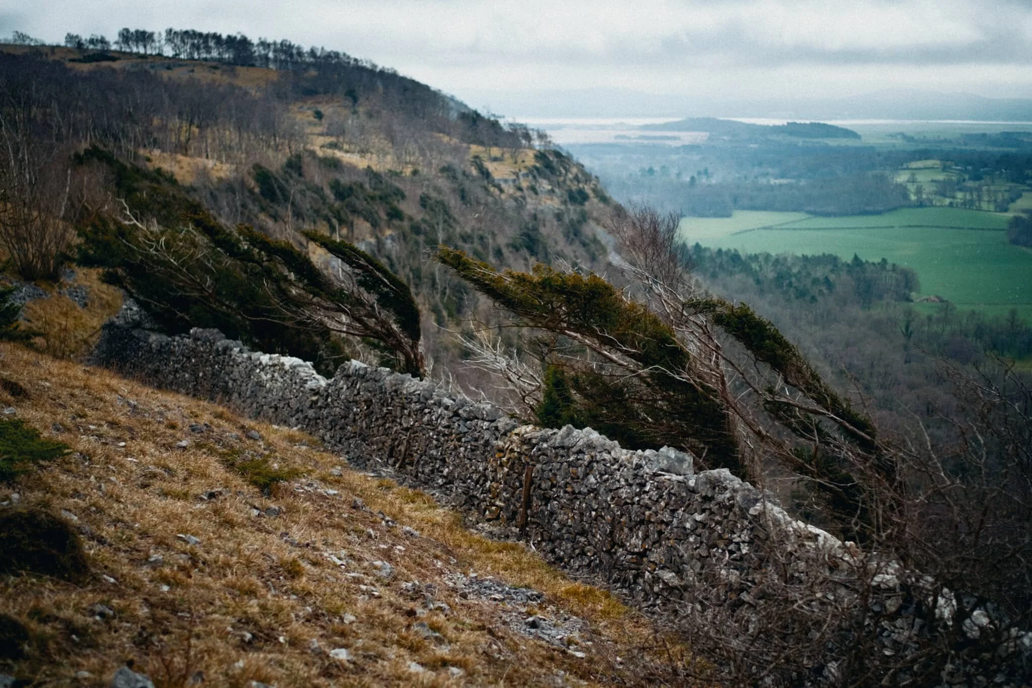 A wall prevents you from getting near the edge, lest you tumble towards the valley floor. Wind-blasted trees give an indication of what the conditions can be like on the fell.