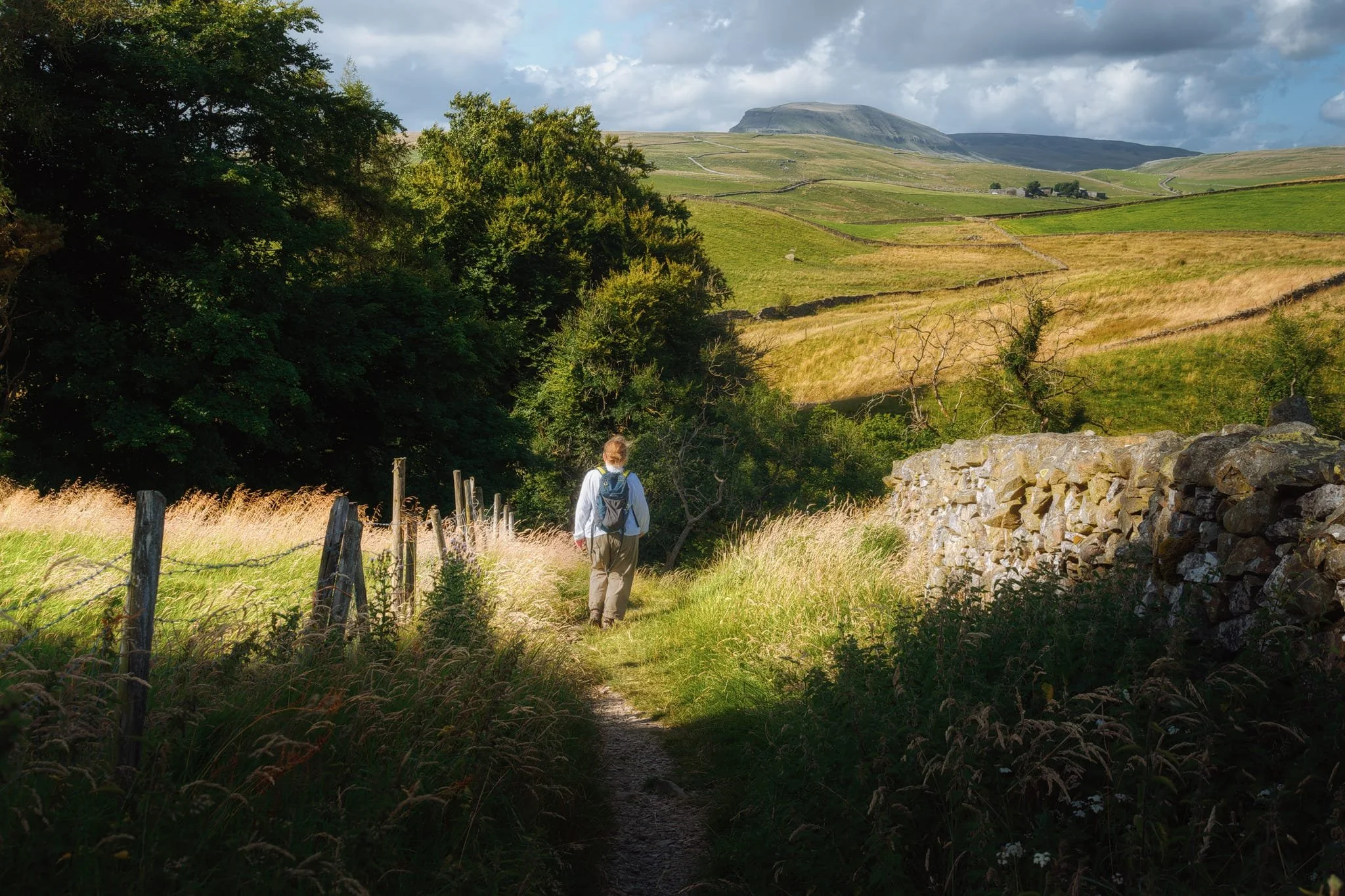 At the top of the bridleway, a small trail veers off towards the wooded gorge that houses Catrigg Force. In the distance, the unmistakeable shape of Pen-y-ghent.