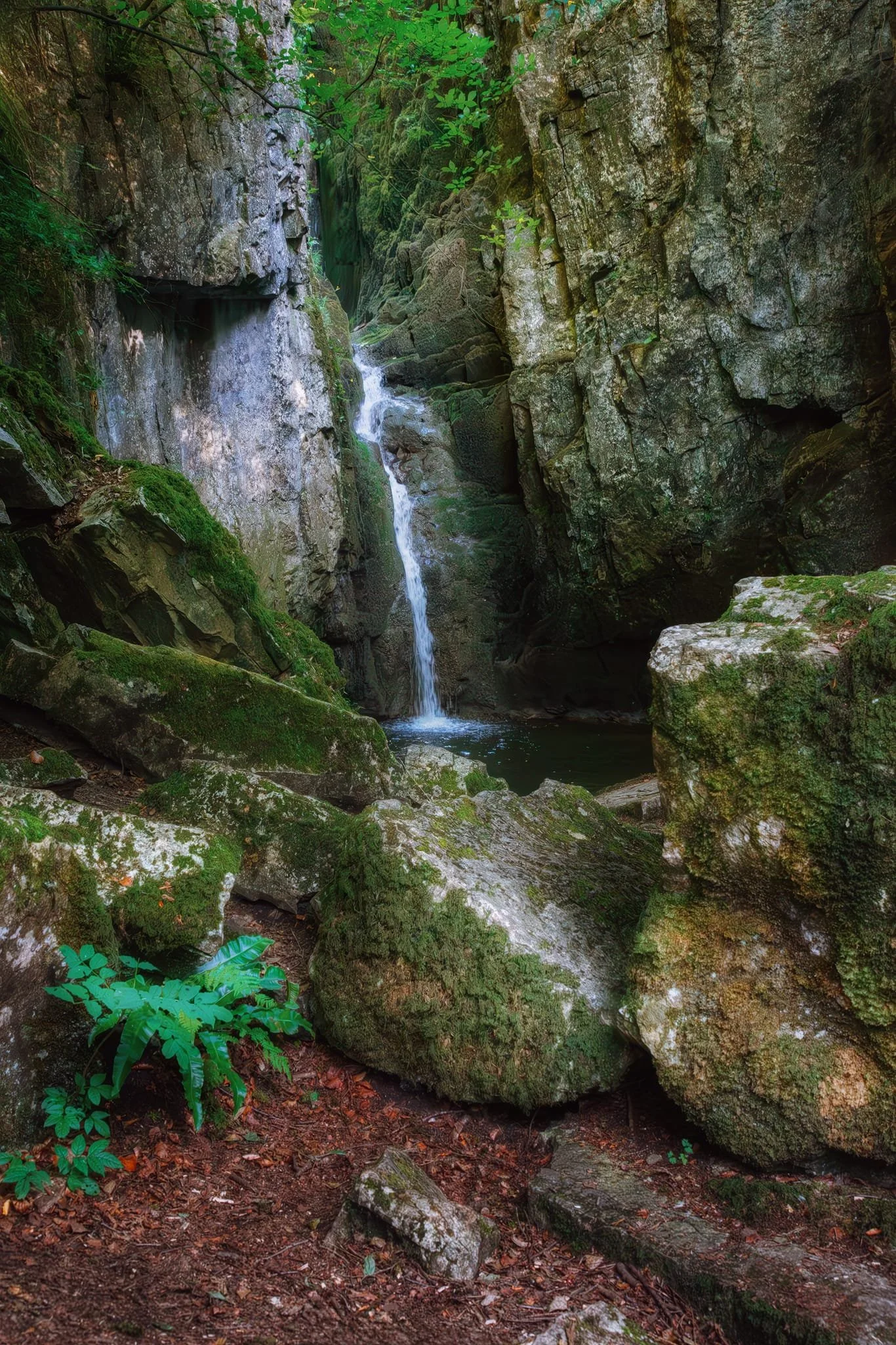 Probably one of the best shots I’ve ever got of Catrigg Force.