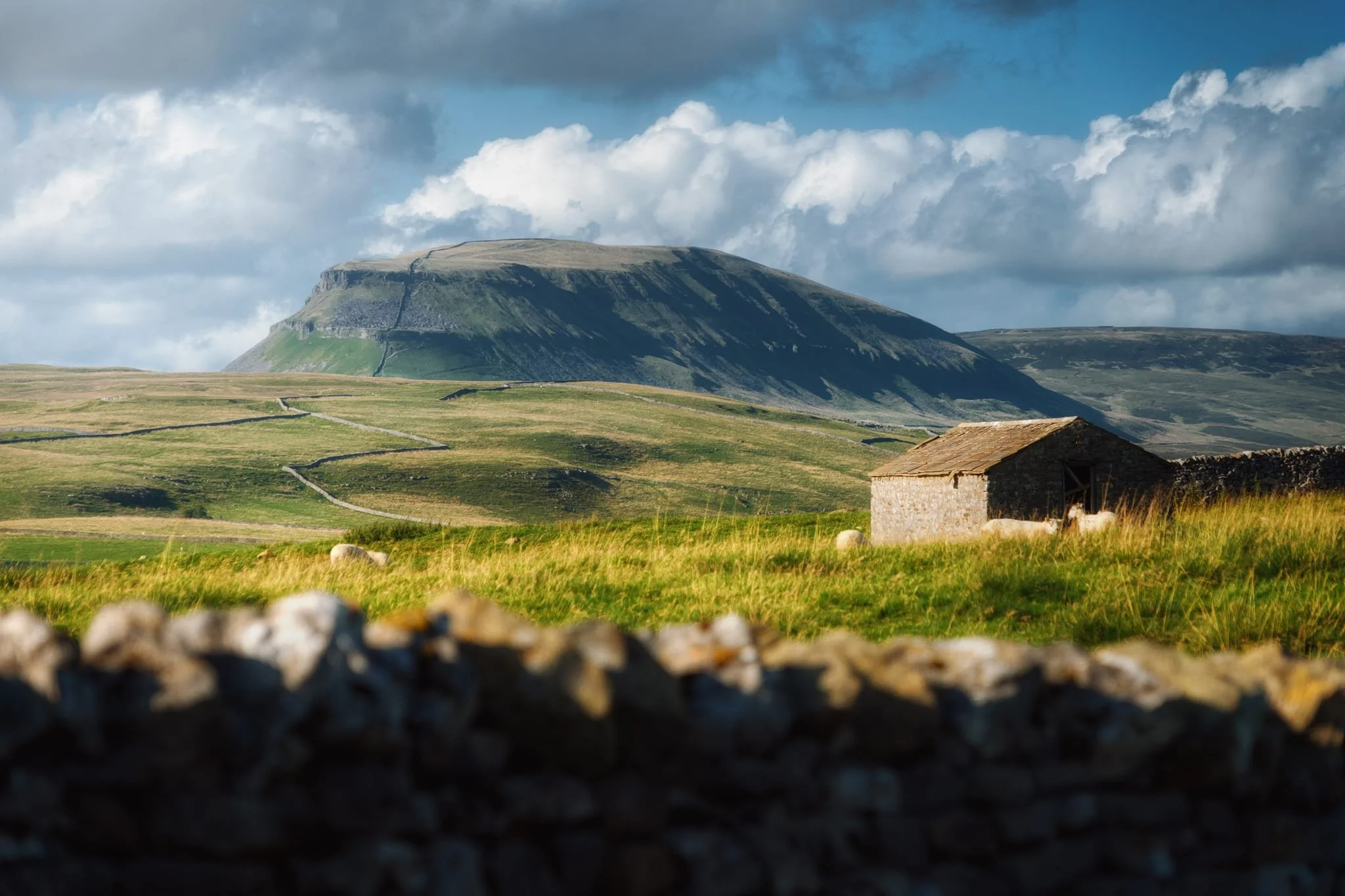 Back onto the bridleway, we made our way towards the Winskill Stones Nature Reserve. Turning back, this zoomed in composition of a typical Yorkshire Dales barn with Pen-y-ghent looming caught my eye.