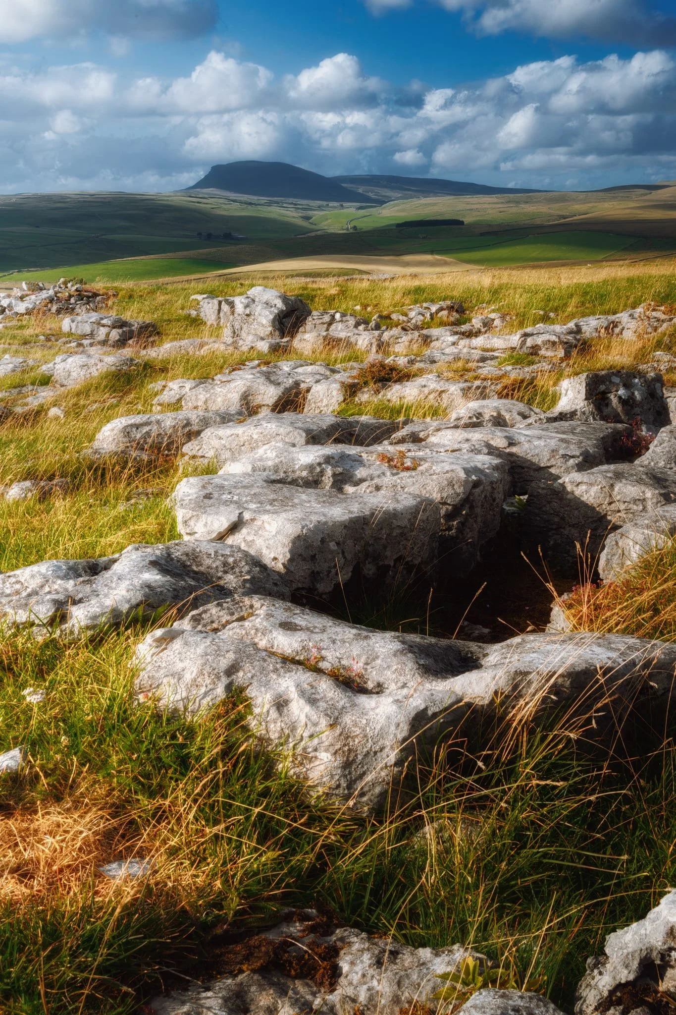 We clambered up around the Winskill Stones Nature Reserves seeking extensive limestone pavements. Whilst they weren’t as sizeable as the likes of Malham Cove, they nevertheless made for nice compositions, especially towards Pen-y-ghent.