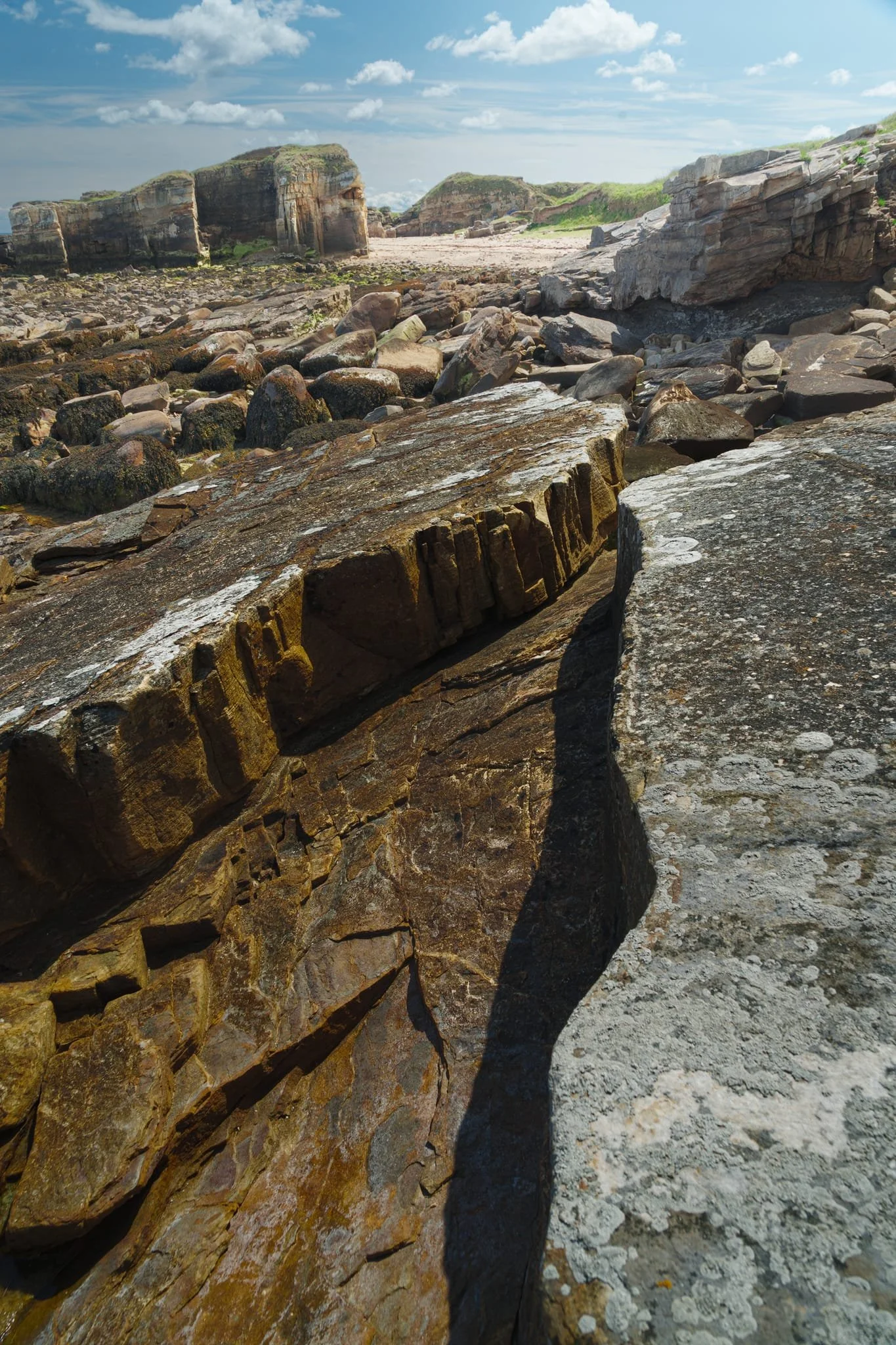 Rumbling Kern channel sandstone in “Lego-block” mode. Here vertical joints and horizontal bedding planes have sliced the rock into big blocks. Pleistocene-era meltwater and modern-day tides have prised out those blocks, rounded the edges and smoothed the faces.