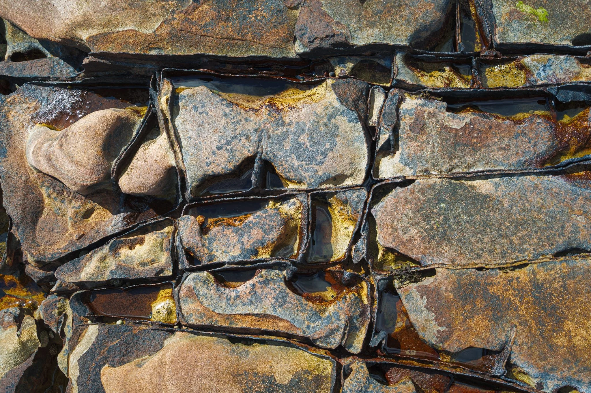 Man-made? Not in the slightest. Here, the rock has two dominant fracture directions, roughly at right-angles. Where they cross you get those neat little rectangles. Salt-crystal growth, freeze-thaw and wave-driven pebbles have prised those cracks open over millennia, filling them with water and iron-rich films. That’s why the joints look so crisp and dark compared to the orange-buff block faces. Every tide, sand-and-pebble slurry scours along the weakest joints, deepening the grid pattern and leaving small pools in the intersections.