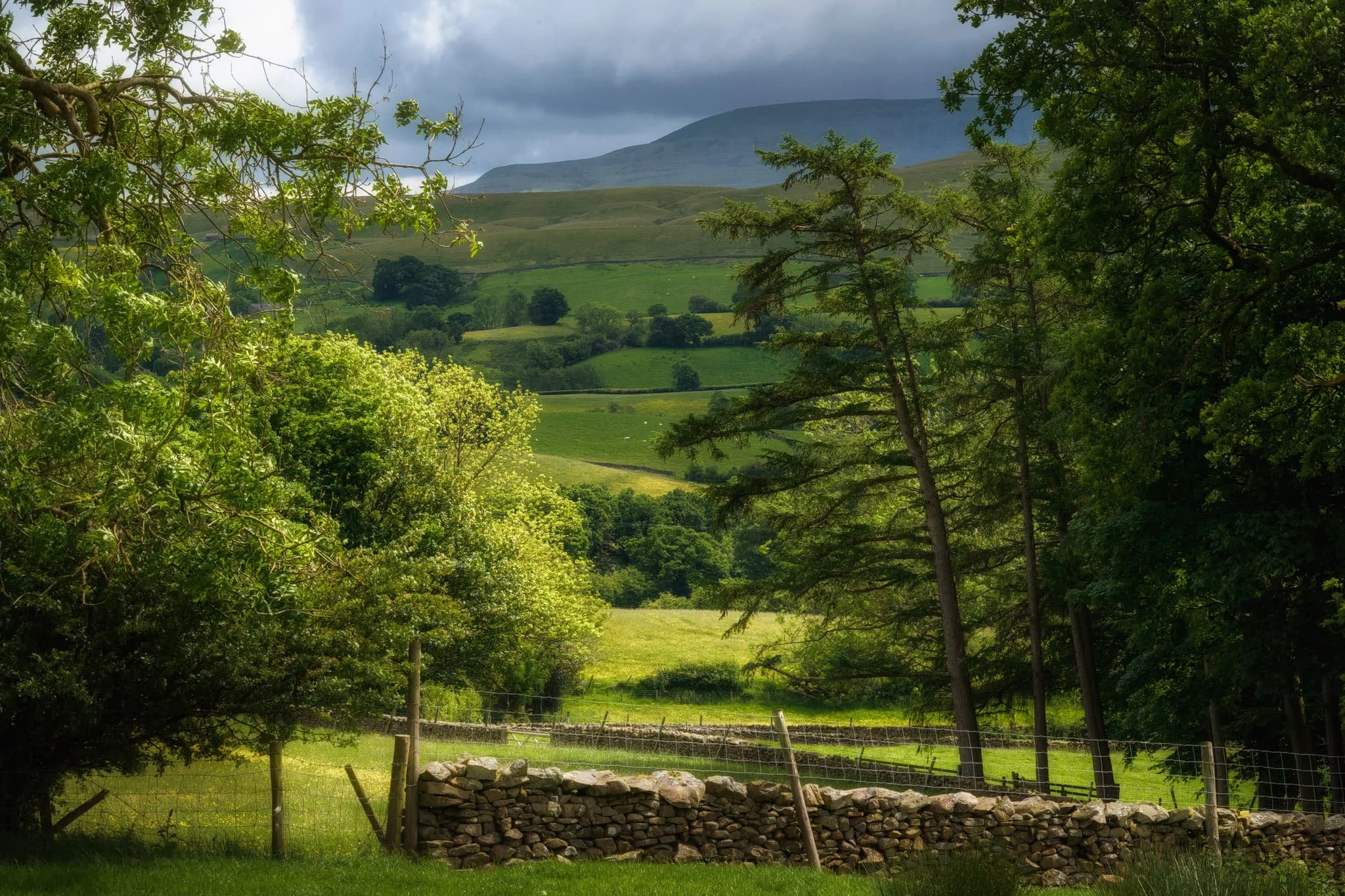 The cloud cover was beginning to thicken, but pockets of sun still broke through. A distant scene looking south towards the Dent fells made me zoom right in.
