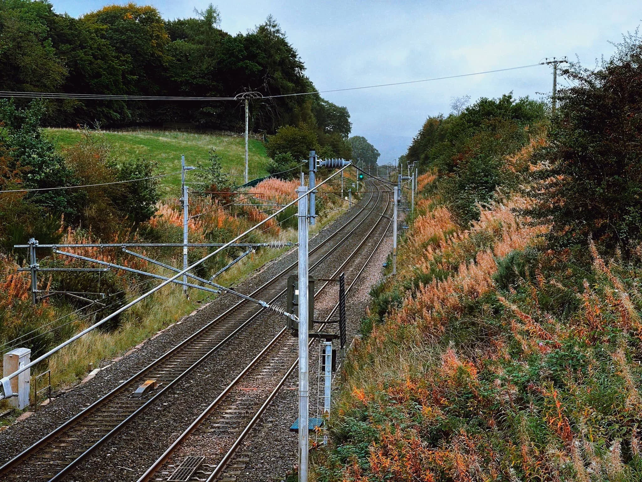 A quick snap of the railway before heading up through Singleton Park.