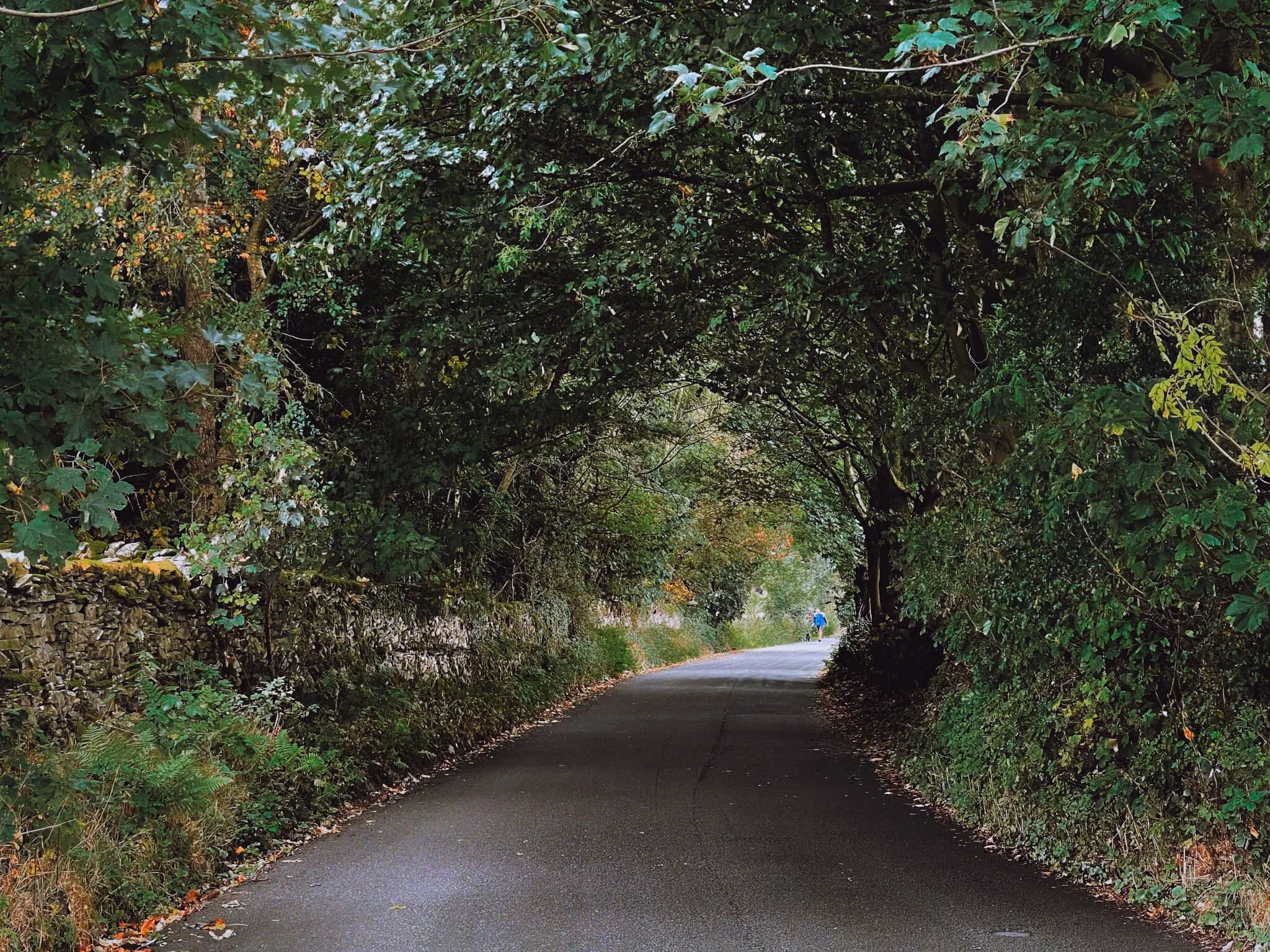 More autumn colours, please.