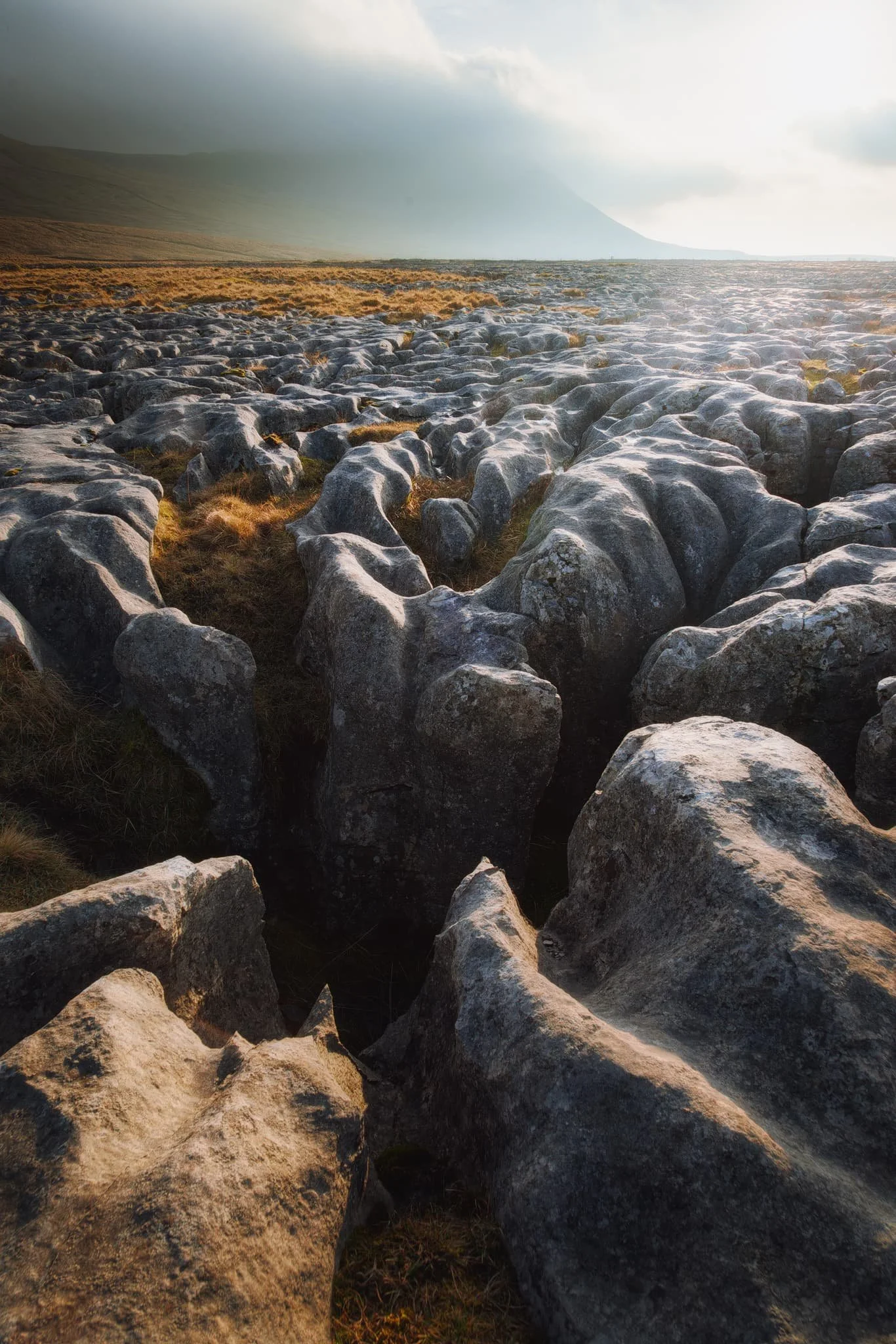 Above and east of Southerscales Scar, another small section of bog and limestone pavement is available at Douk Cave Pasture. This area sits right above Great Douk Cave. It’s a weird sensation to think that, below your feet and underneath all these clints and grikes, is a myriad of cave systems.