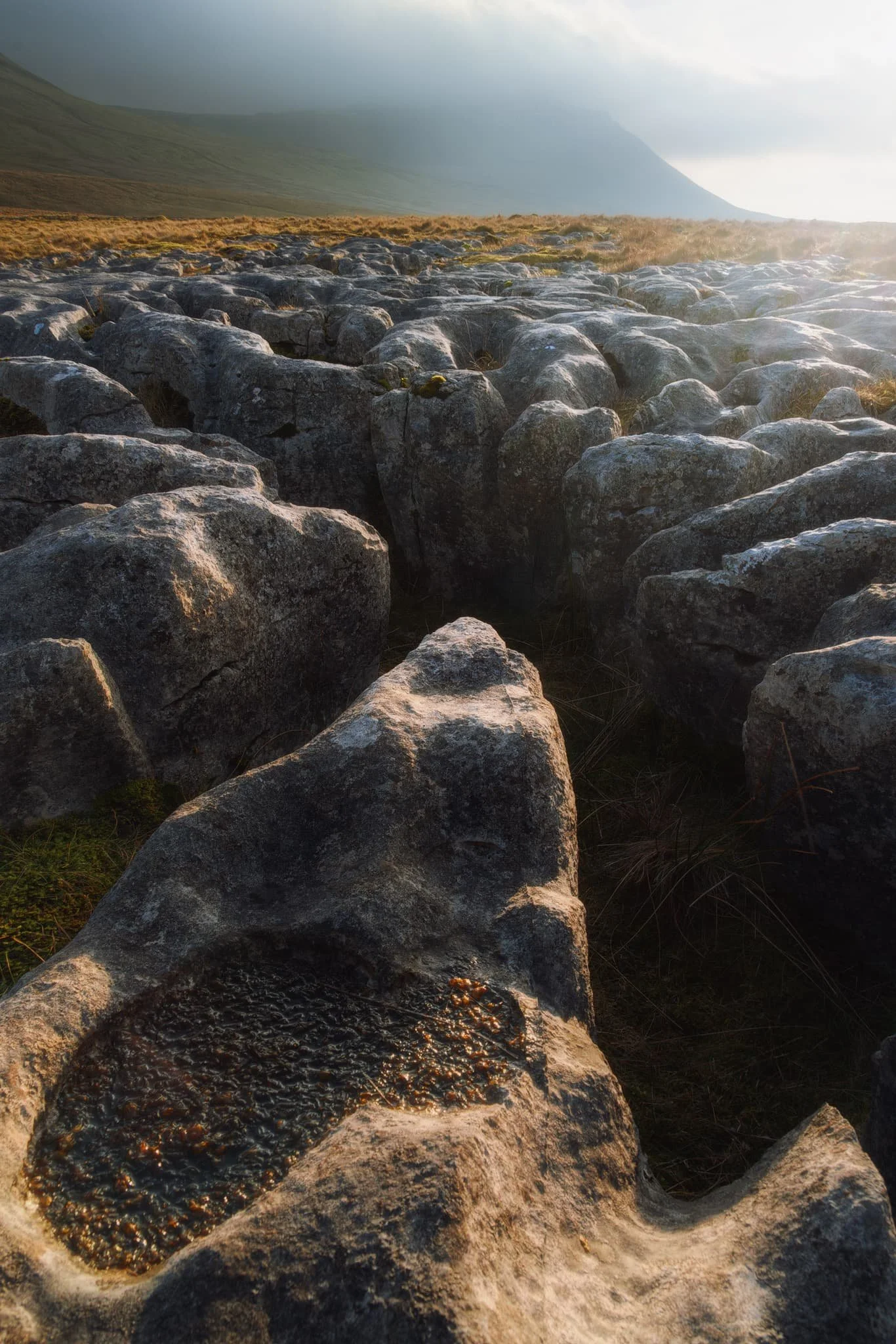 I was having too much fun finding spots where the clints seem to point towards particularly deep grikes. Shooting right into the sun is always tricky, so I made sure to take multiple exposures.