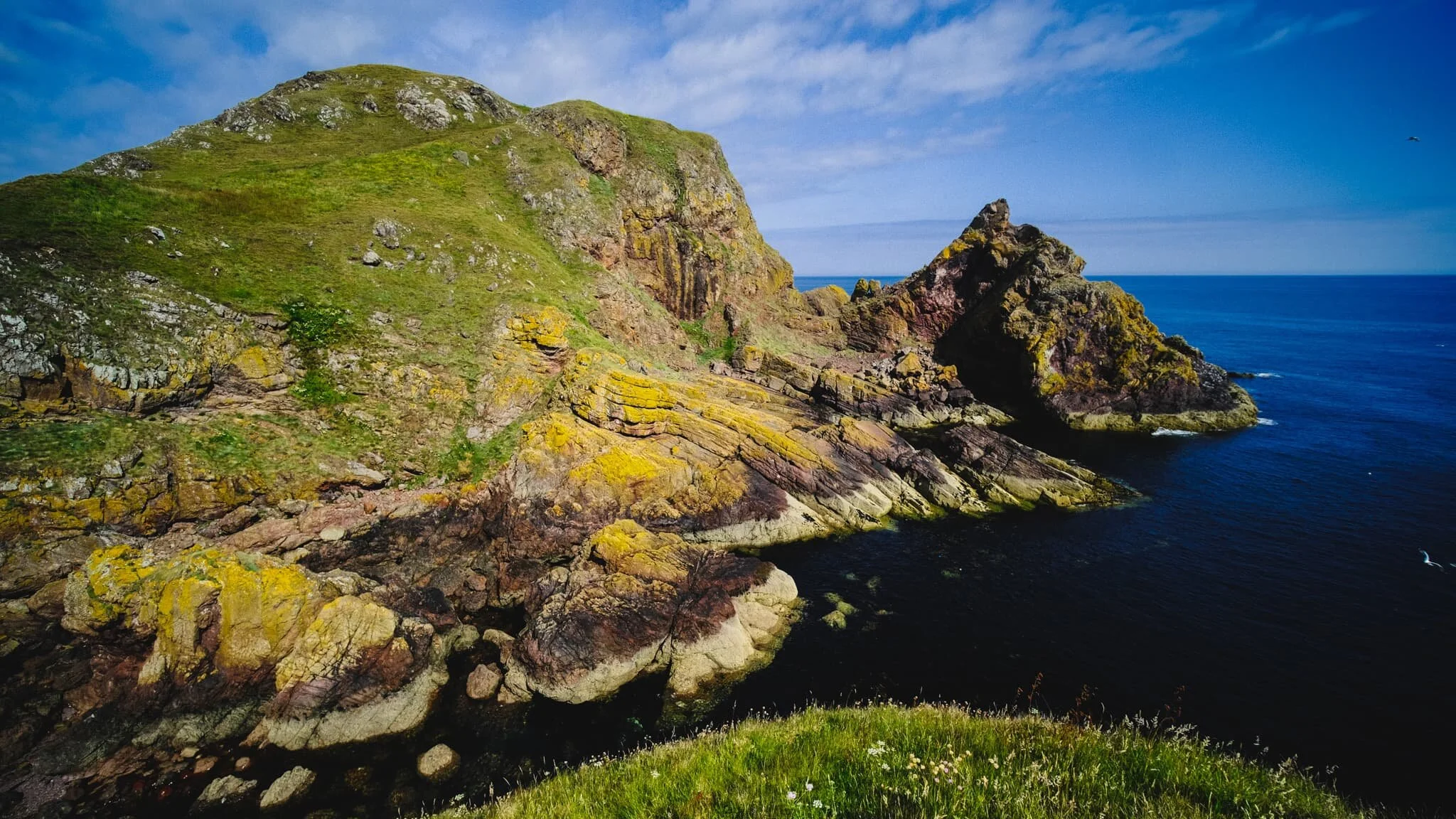 The southeastern cliffs of St. Abb’s Head is known as Kirk Hill, and features a variety of geological “uncomformities”; that is, layers of rock from vastly different ages in history, lying next to each other.
