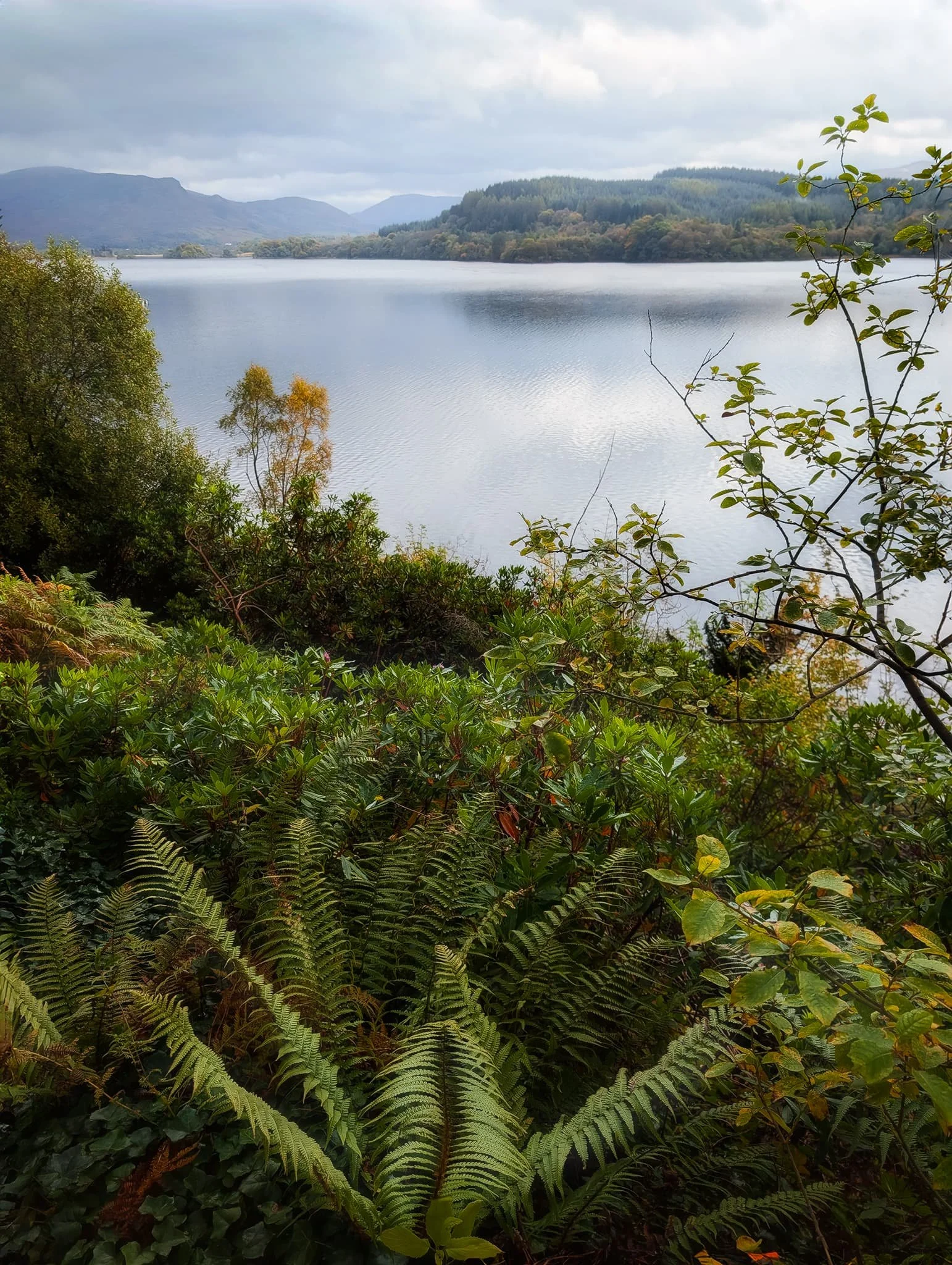 The view from the kirk grounds across Loch Awe are a sight to behold.