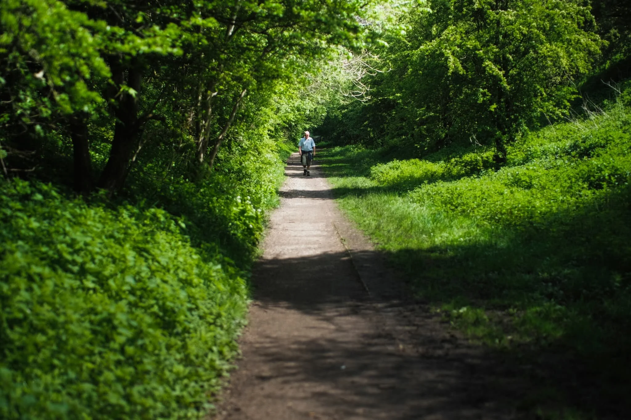 Nowt like wandering amongst the fruiting vegetation and breathing in the summery fragrances.