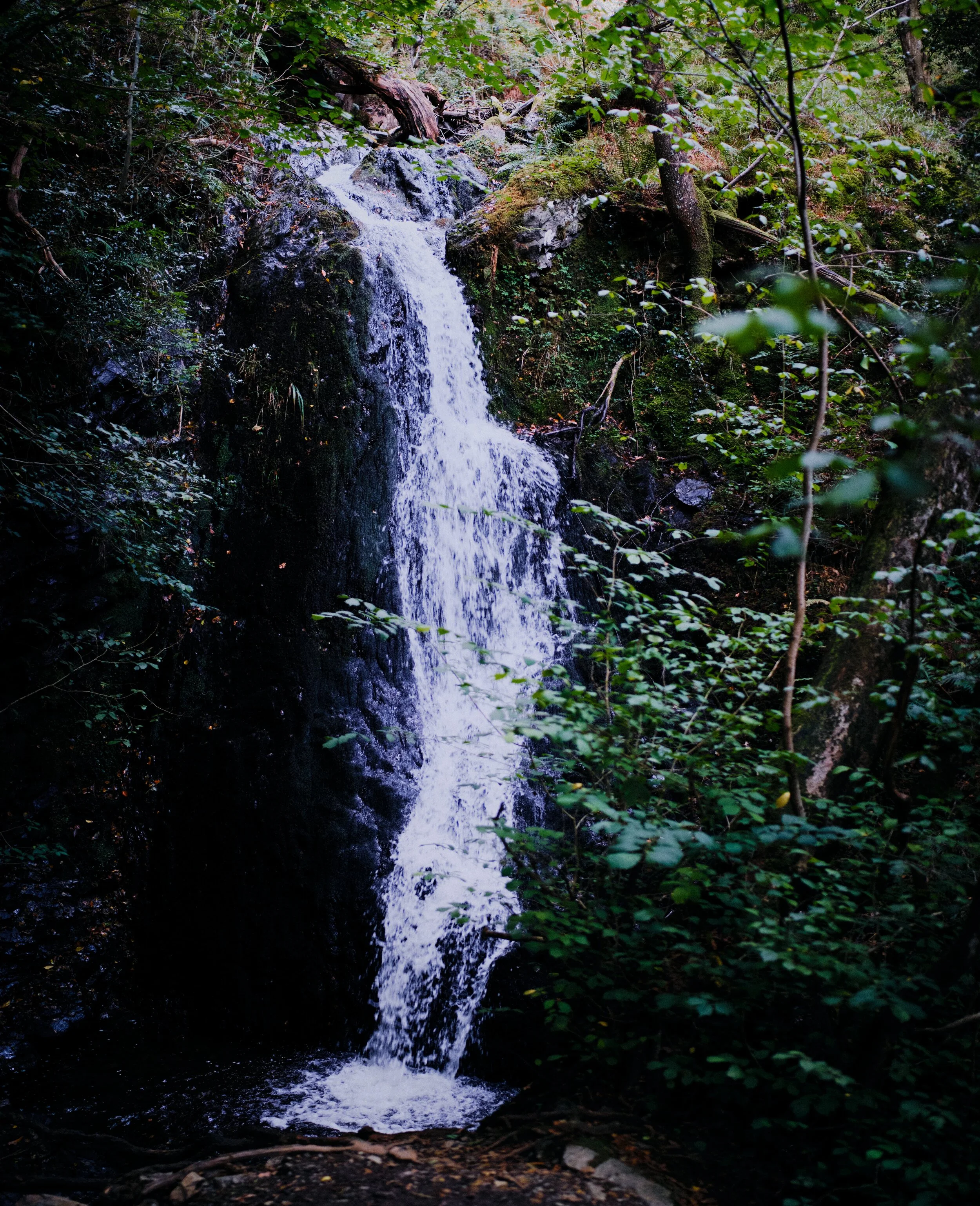 The main waterfall of the Tom Gill falls, dropping 30 ft. This is a vertorama, or even a “bokehrama”, comprised of six landscape frames at 35mm/f1.2, stacked top to bottom.