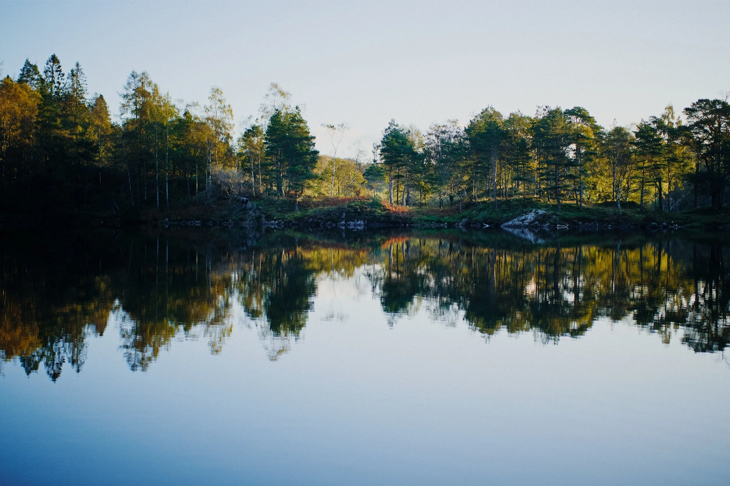 Eventually we pop out of the ravine onto Tarn Hows, with crisp reflections and golden sunrise light.