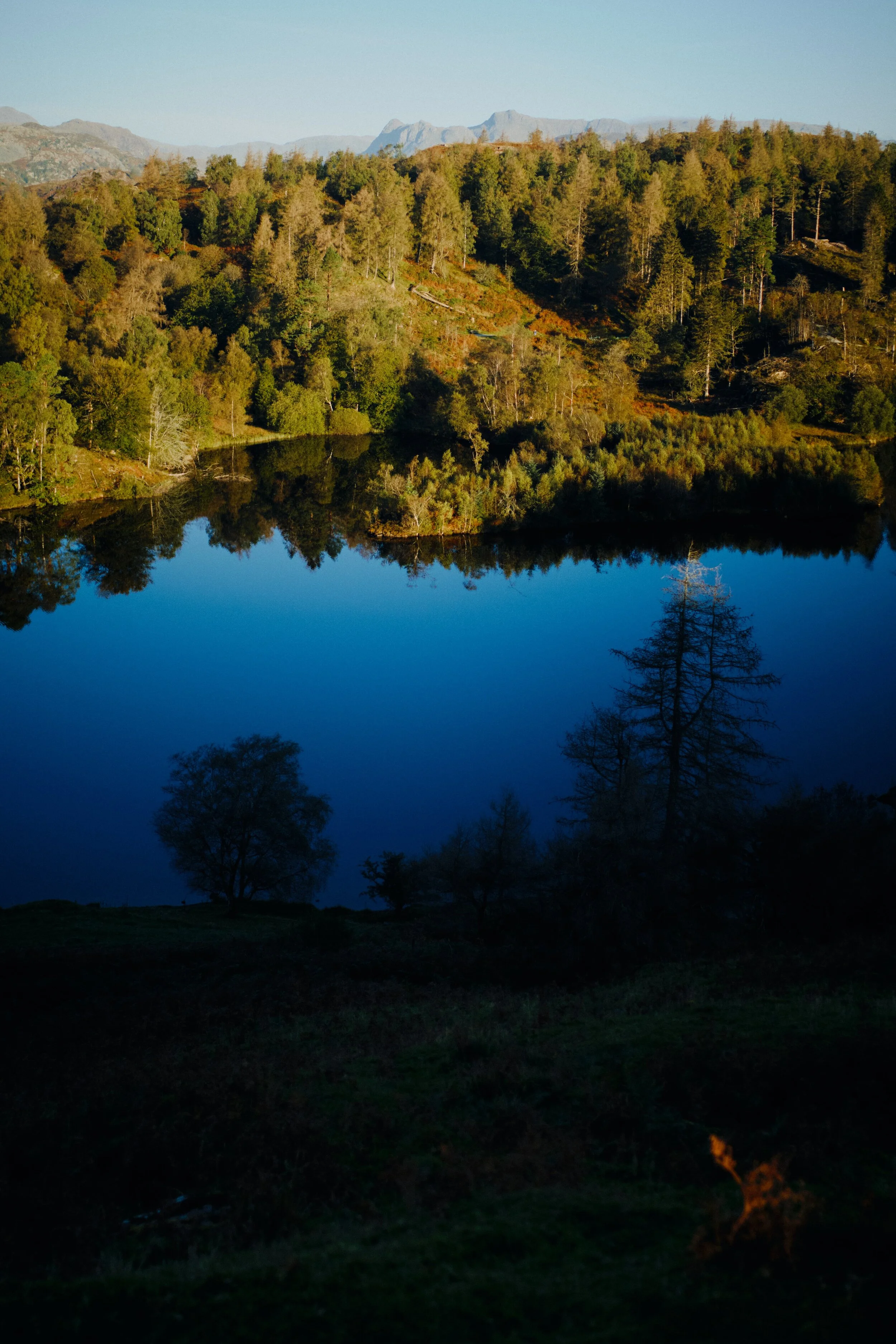 The Langdale Pikes peep just above the woods around Tarn Hows. This is a 4-shot vertorama, stacked top to bottom, at 35mm/f1.2.