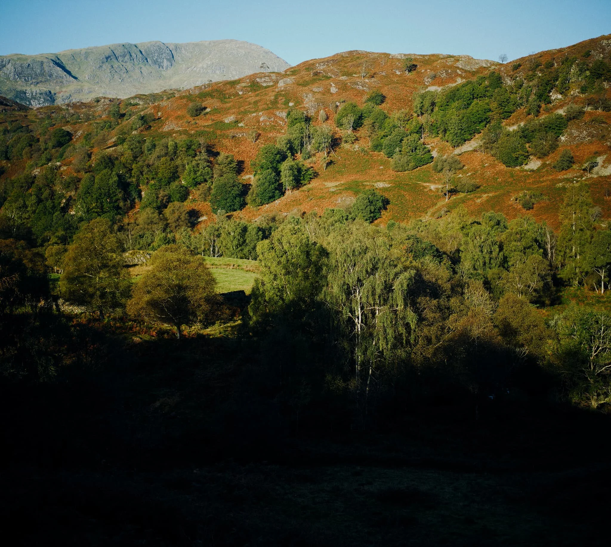 We exit the Tarn Hows circular trail onto the Cumbria Way, which rises gently towards the A593. Along the way we’re treated to sweeping views of the Coniston Fells and their autumn colours. This is a 3-shot vertorama, stacked top to bottom, each shot a landscape frame at 35mm/f1.2.