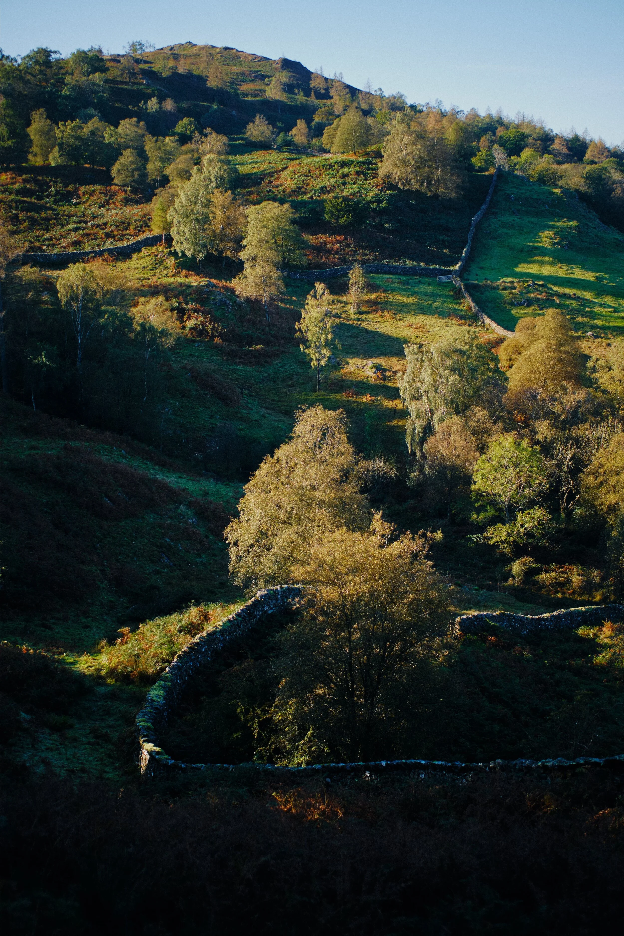 Where there’s a winding dry stone wall, there I am trying to photo a composition.