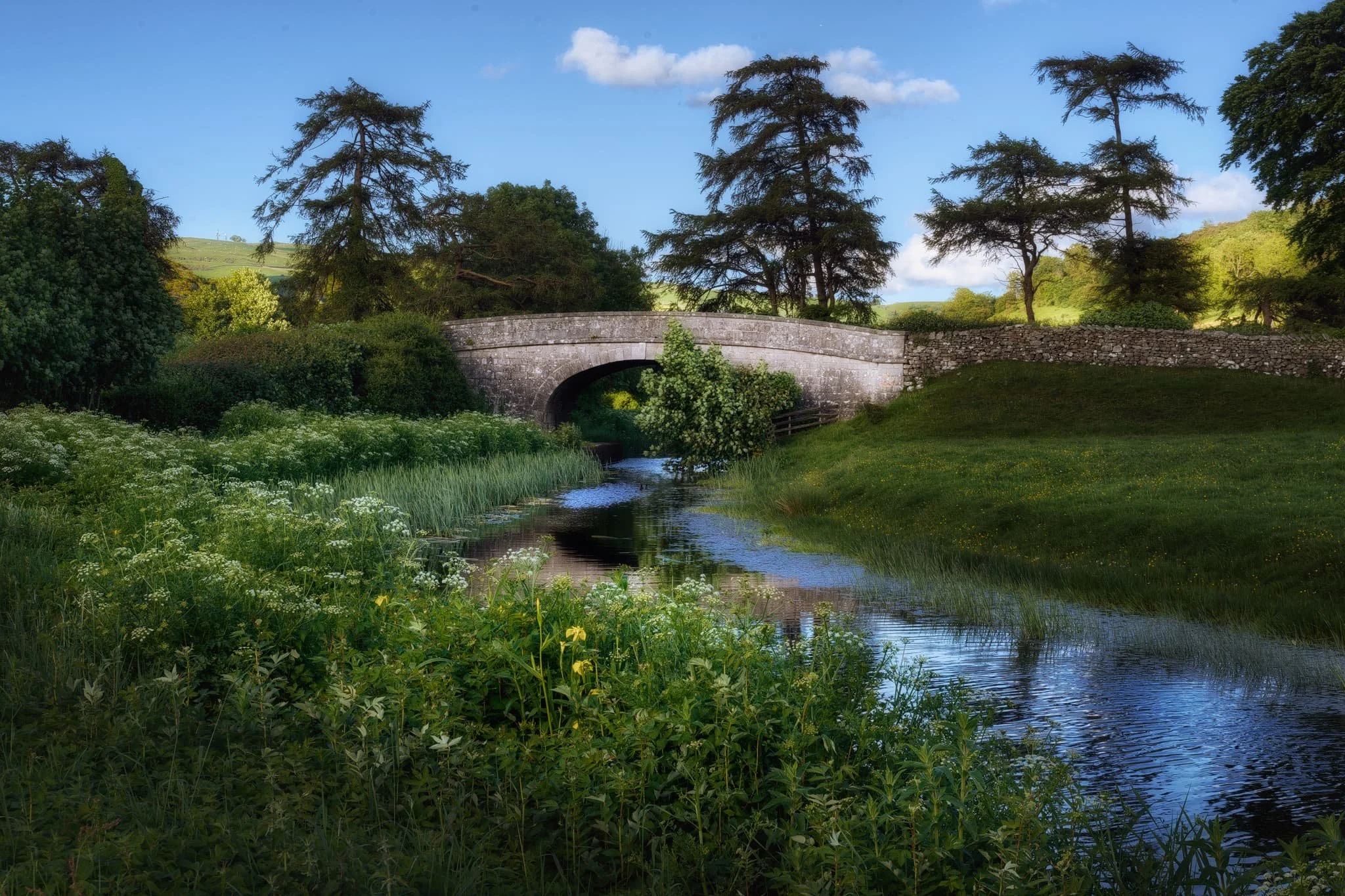 The low evening light catching the tops of the foliage and the bridge. A delightfully idyllic scene.