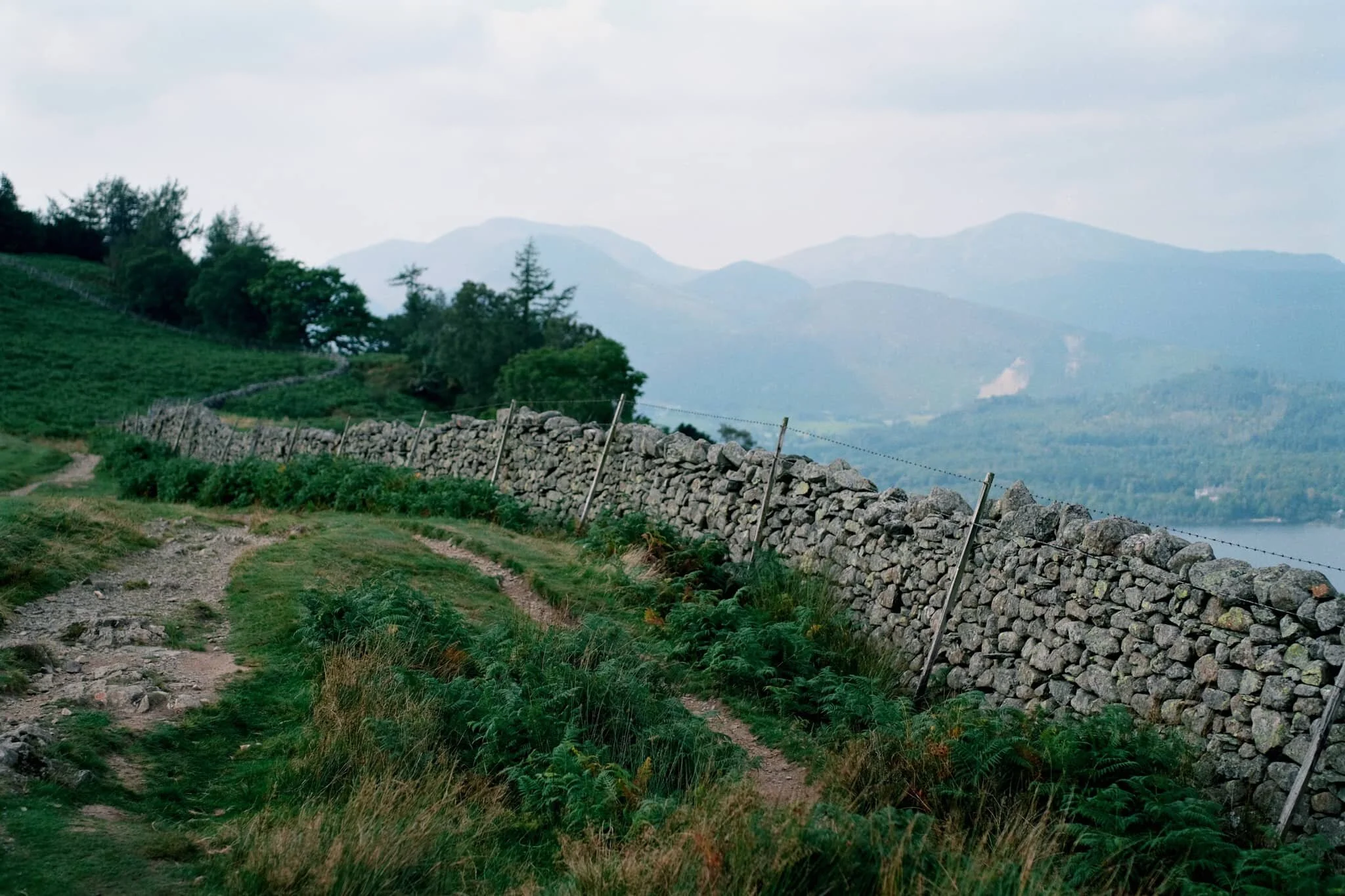 On our way up, the views towards the Derwentwater Fells, too, soon open up and our sense of anticipation grows.