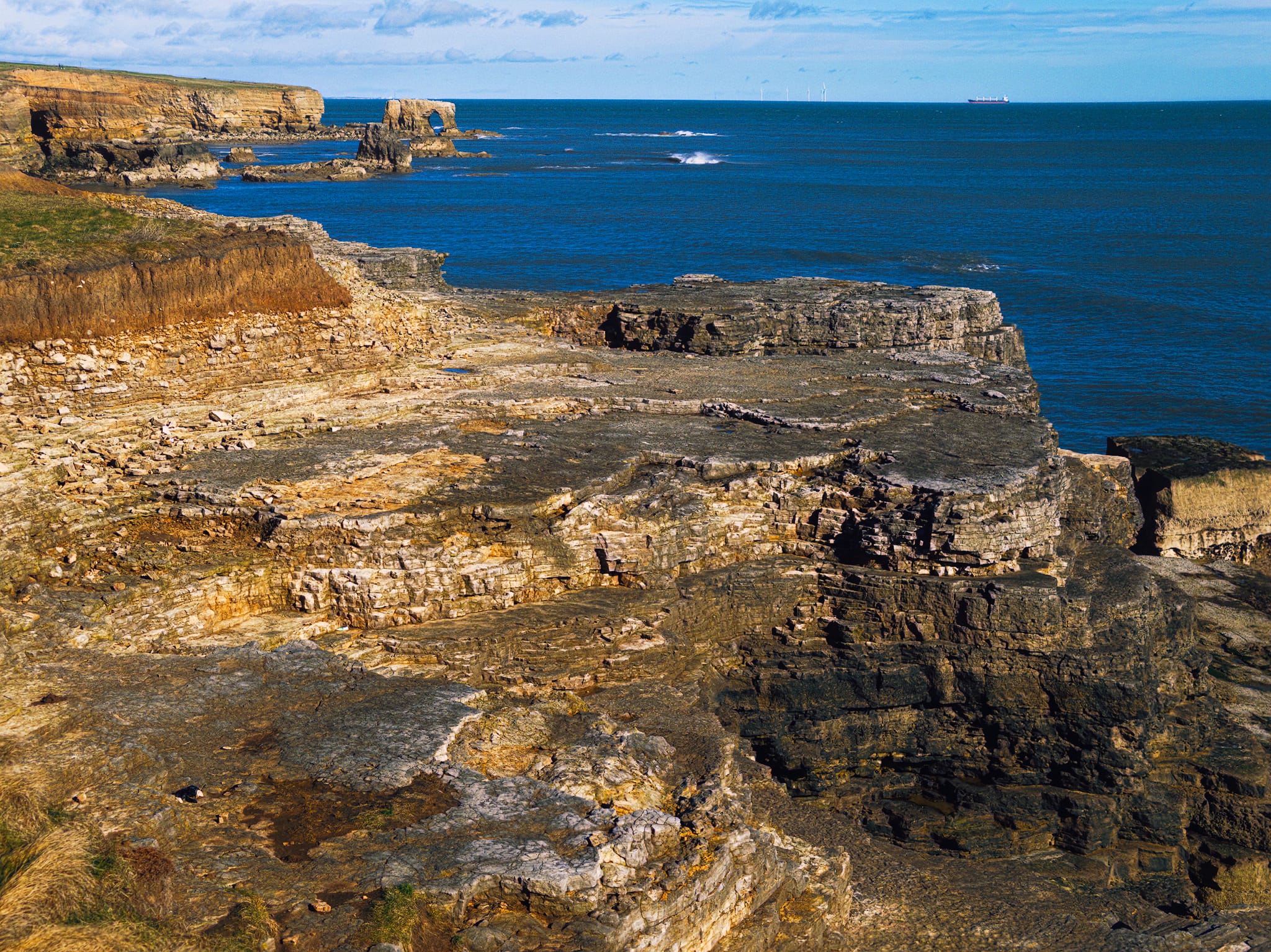The coastal path keeps you away from the cliffs, but if you’re careful and venture closer you’re treated to this view north along the coast. It’s like being back in Pembrokeshire!