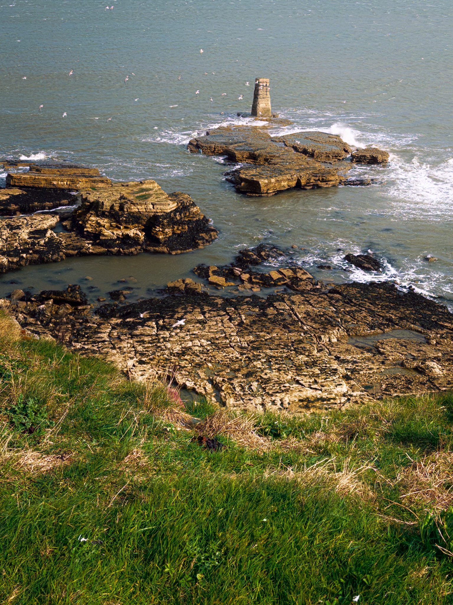 At Lizard Point just before the squall soaked us, I spied this unusually regular formation out into the sea. I can’t see any mention of it on the maps. I couldn’t decide if it was natural and amazingly regular, or human-made and weathered down. Still, made a composition of it.