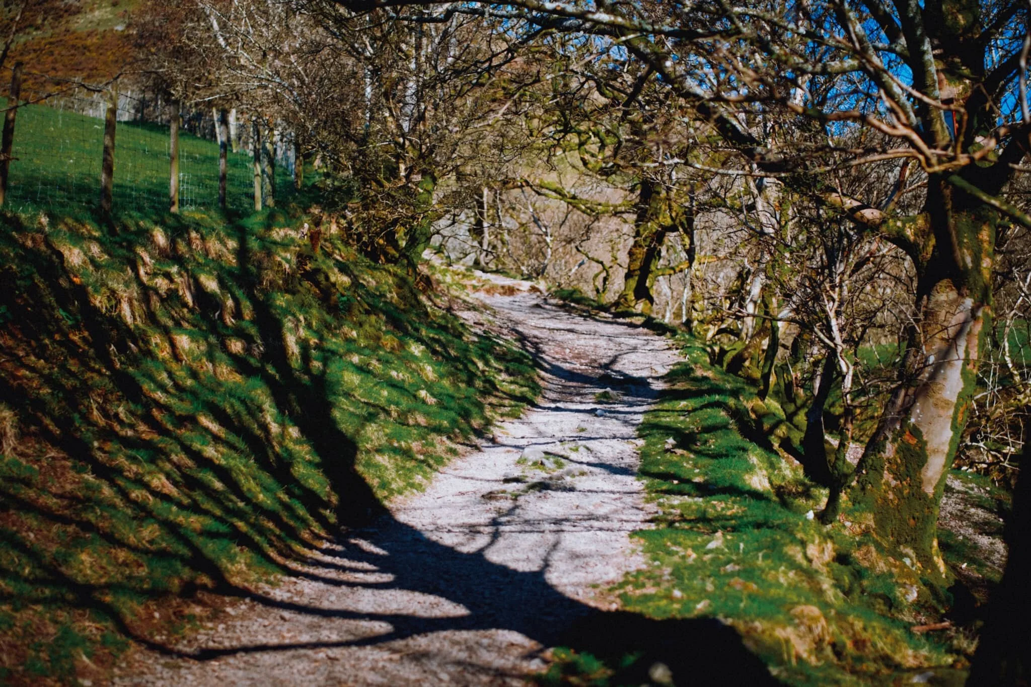 After exiting Joss Lane we merged onto the Dales High Way, soaking in the beautiful spring sun as we did.